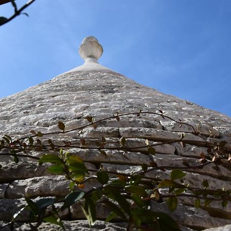 לינה וארוחת בוקר מרטינה פרנקה Quei Trulli Divini מראה חיצוני תמונה