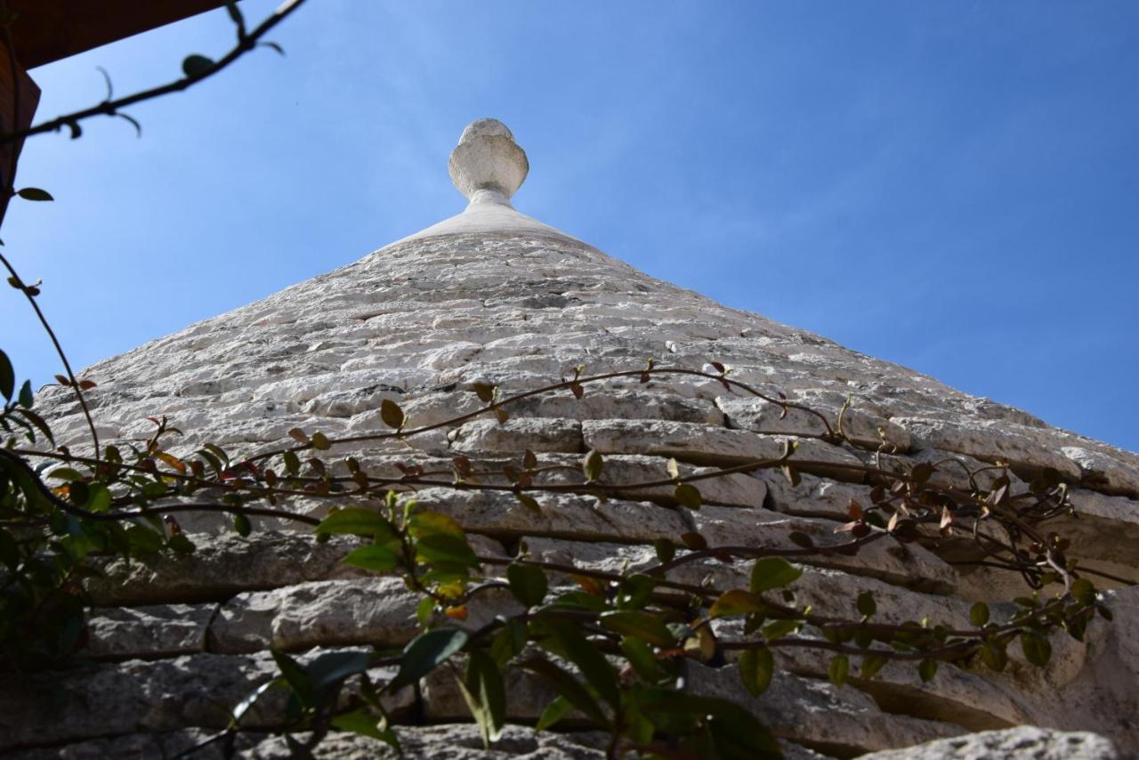 לינה וארוחת בוקר מרטינה פרנקה Quei Trulli Divini מראה חיצוני תמונה