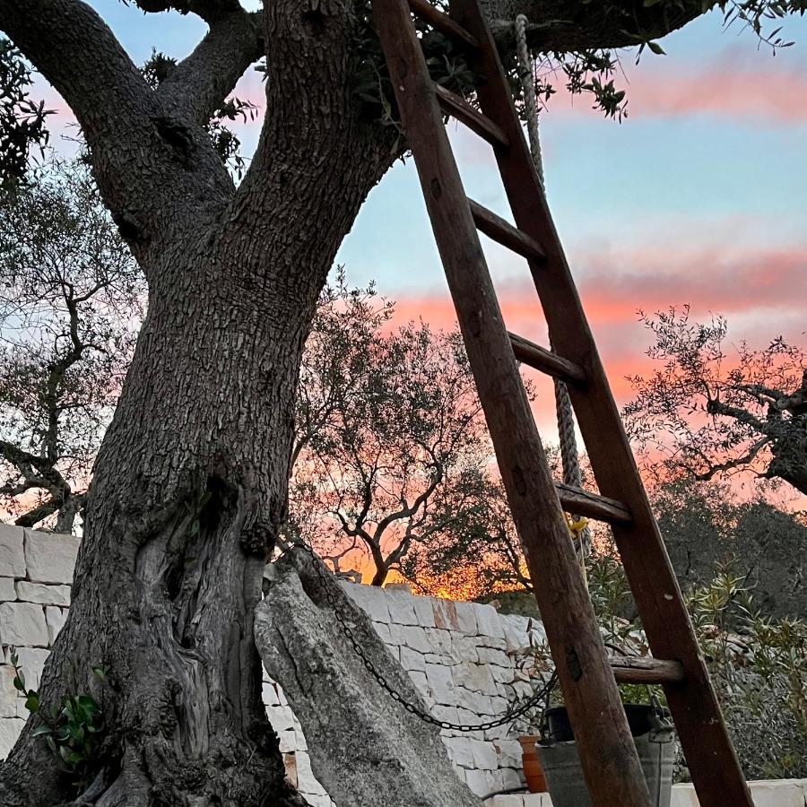 לינה וארוחת בוקר מרטינה פרנקה Quei Trulli Divini מראה חיצוני תמונה